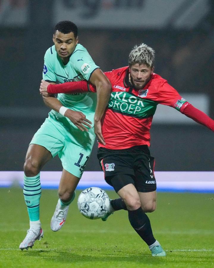 积极组织观 积极组织观