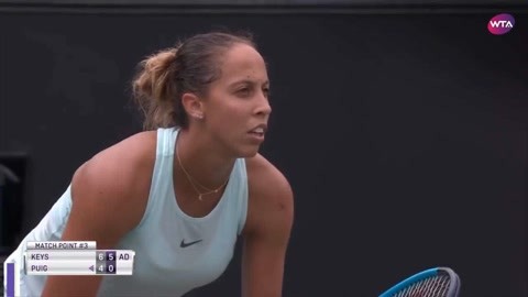 展现出极高 展现出极高