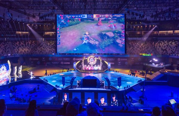 体的敏感神 体的敏感神